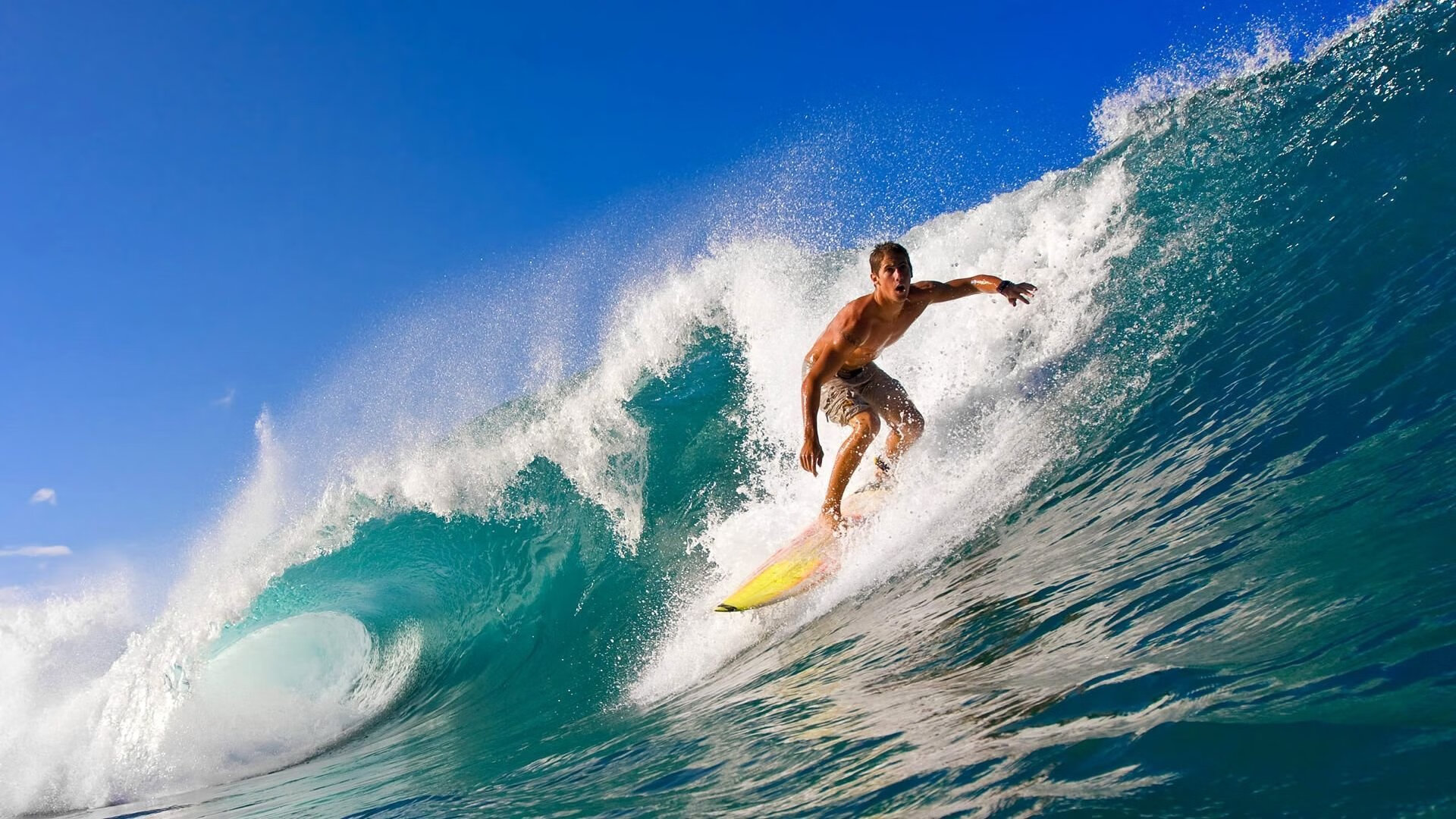 开云体育ios-世界拳击组织更新规则，KO判定标准更严格，世界拳击组织的拳王